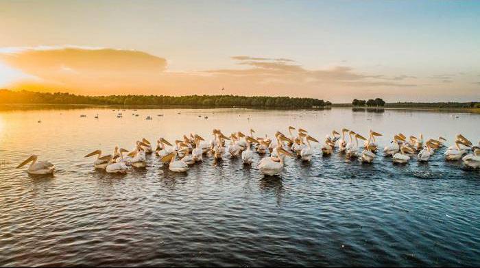 lacul beleu slobozia mare