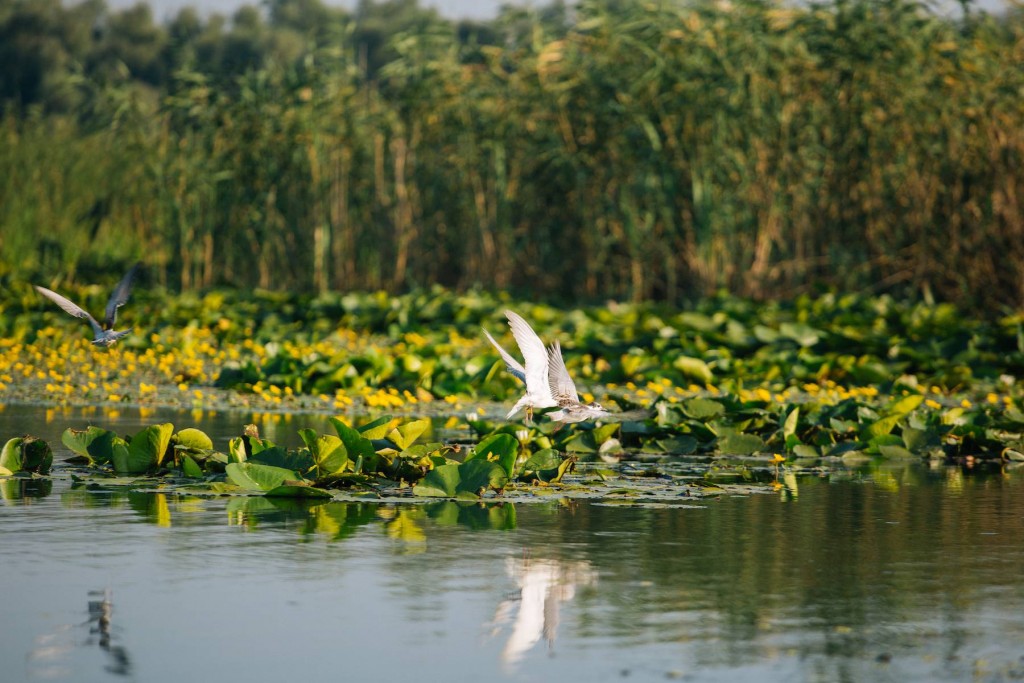 lacul beleu turism