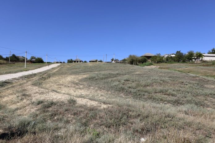 parc-dumbravita parc dumbravita