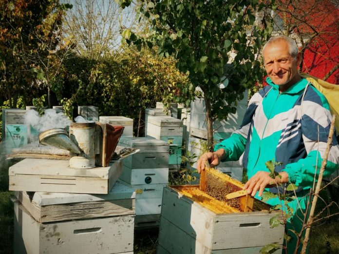 casa-rurala-albinuta casa albinuta sangerei iurie turtureanu