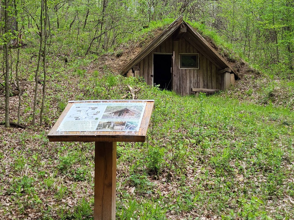 drumeție în rezervatia naturala codrii