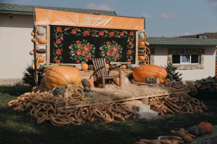 hoginesti-bostaniada festivalul gastronomic Bostaniada hoginesti criuleni