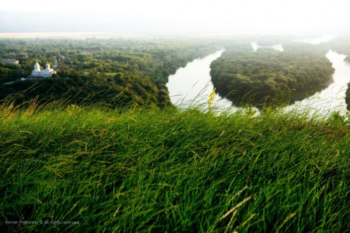 inima-moldovei-naslavcea insula inima m Moldovei naslavcea