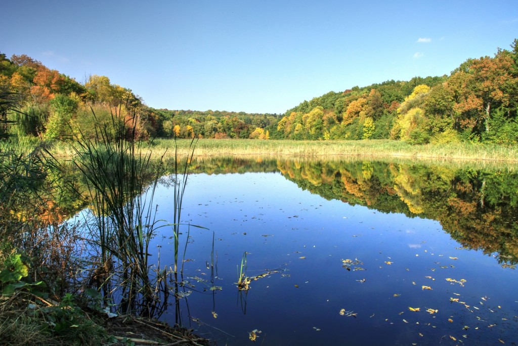 lac parcul taul donduseni