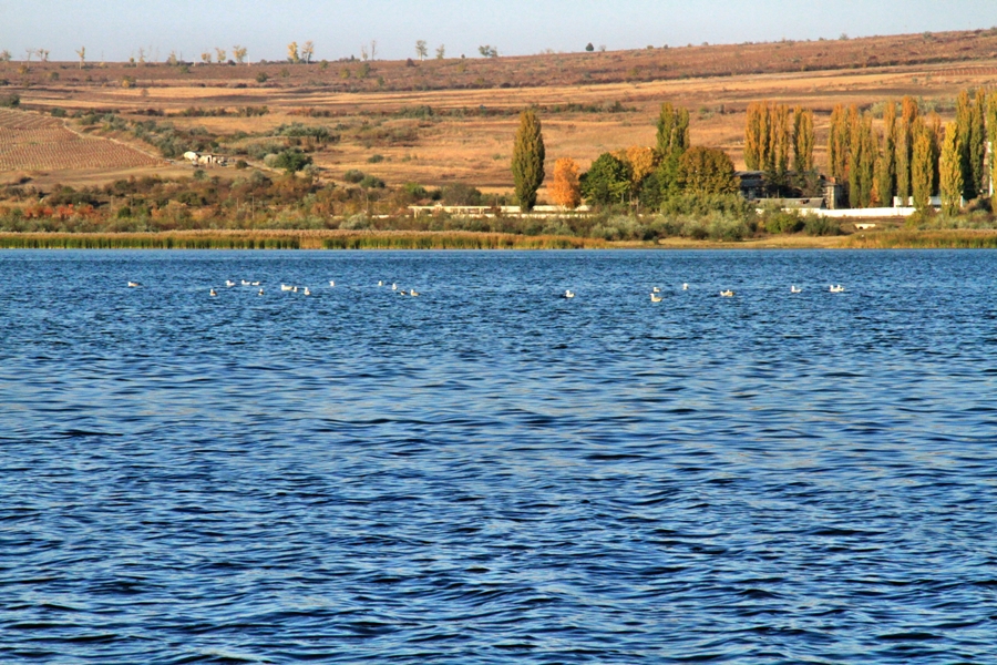 lacul de acumulare ghidighici