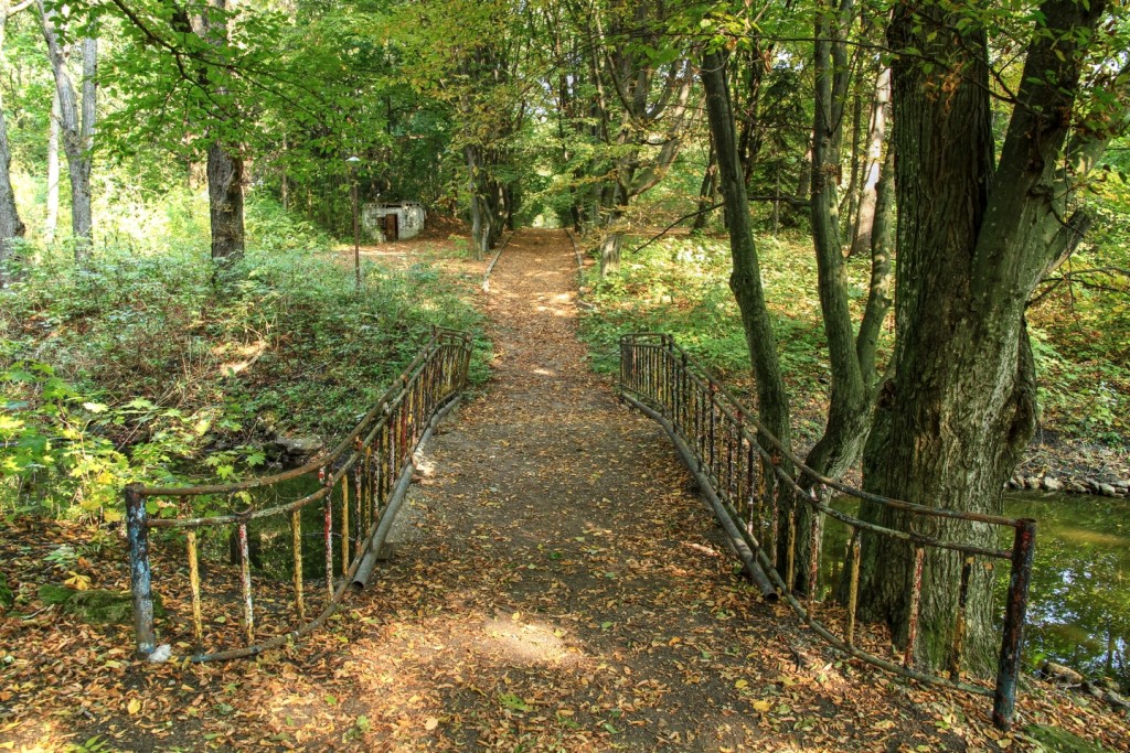 parc vila mandac drochia