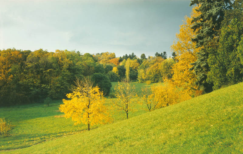 parcul taul donduseni toamna