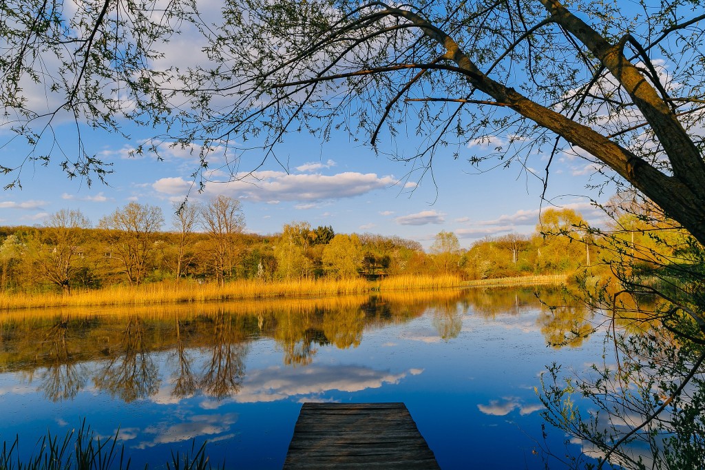 plaiul fagului lacul din rezervatie