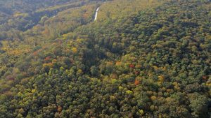 plaiul-fagului2 plaiul fagului vedere de sus