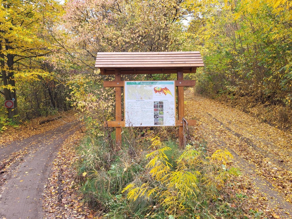 rezervația codrii straseni