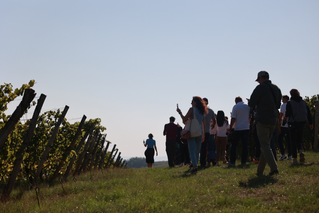 traseu vitivinicol mircesti sculeni ungheni mica toscana din moldova