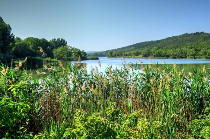 Rezervatia-Iagorlic-Dubasari traseu turistic