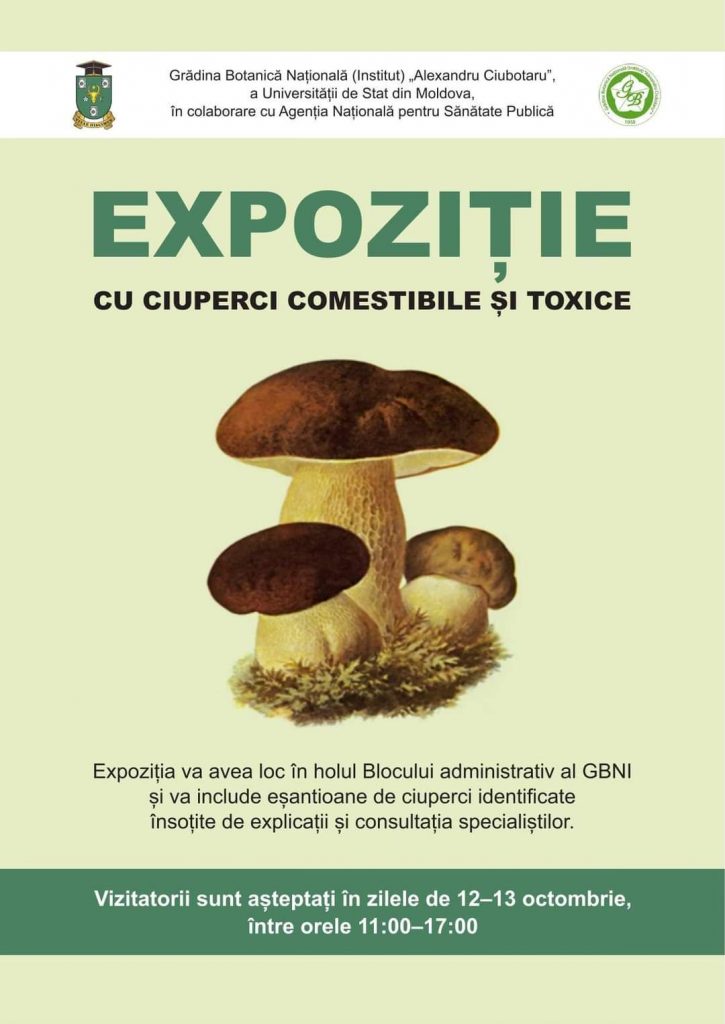 expozitie ciuperci comestibile si toxice