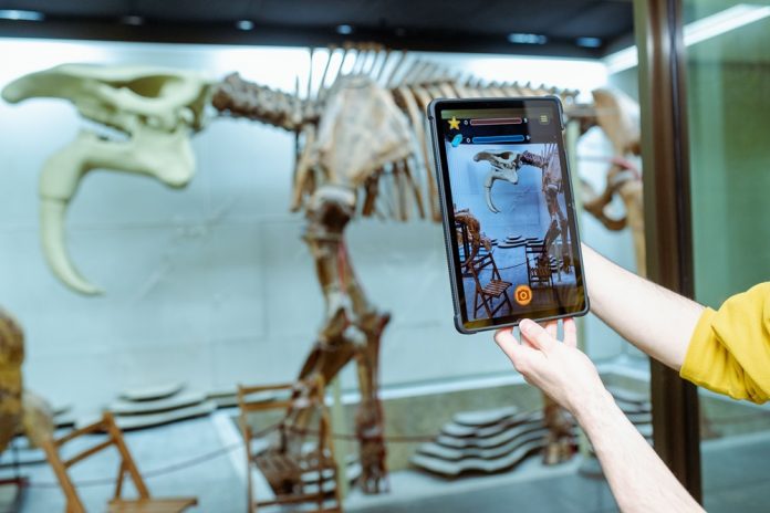 muzeu-etnografie-aplicatie bilete mai scumpe muzeu