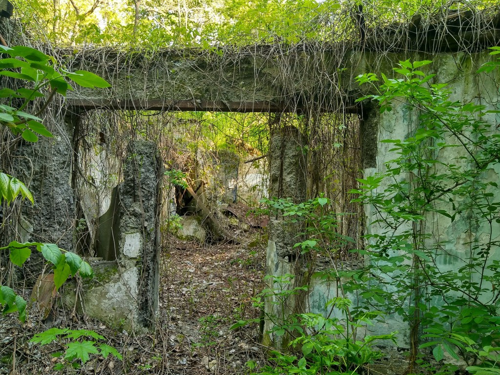 parc conacul dombrovski