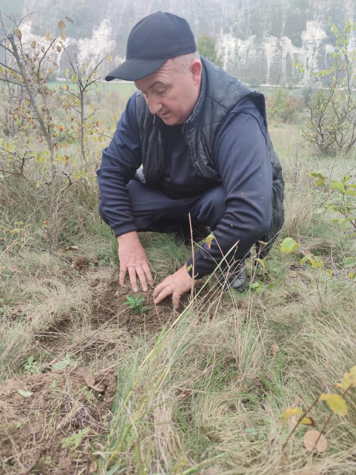 replantare plante rare rezervatia orheiul vechi