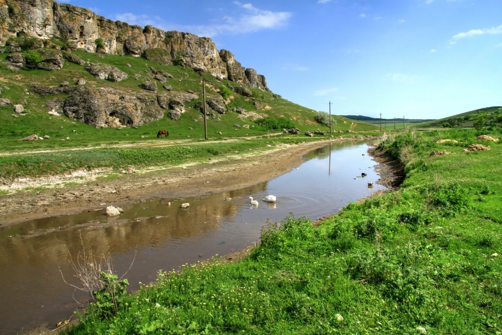 stinca mare cobani glodeni