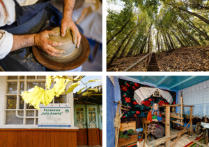 destinatii dor de codru