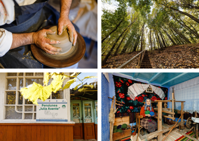 dor-de-codru-destinatii destinatii dor de codru