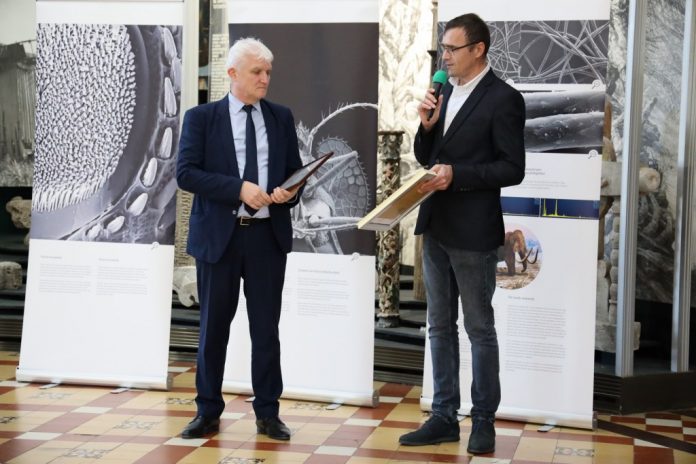 micocosmos-expozitie expoziția microcosmos natura vazuta la microscopul electronic