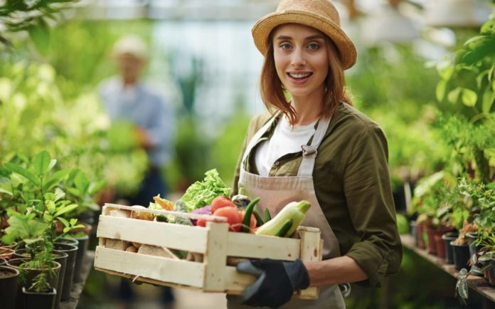 suport-tineri-antreprenori granturi-tineri-femei