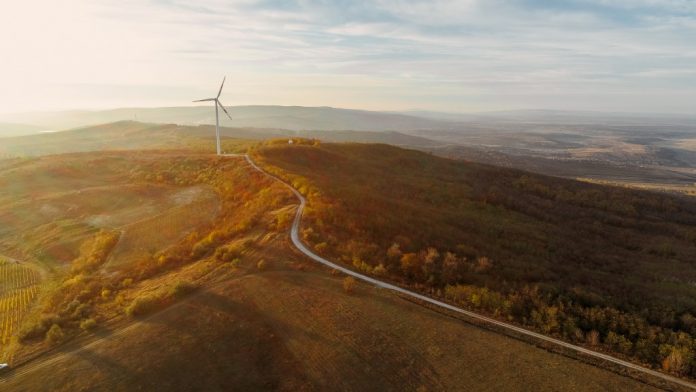 toamna-la-mircesti crama mircesti