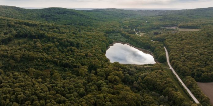 lac strategia nationala