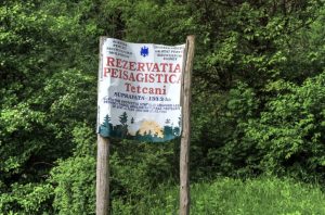 rezervatia tetcani