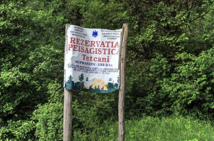 tetcani-briceni rezervatia tetcani