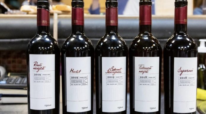 vin-pripa-domenii domeniile pripa