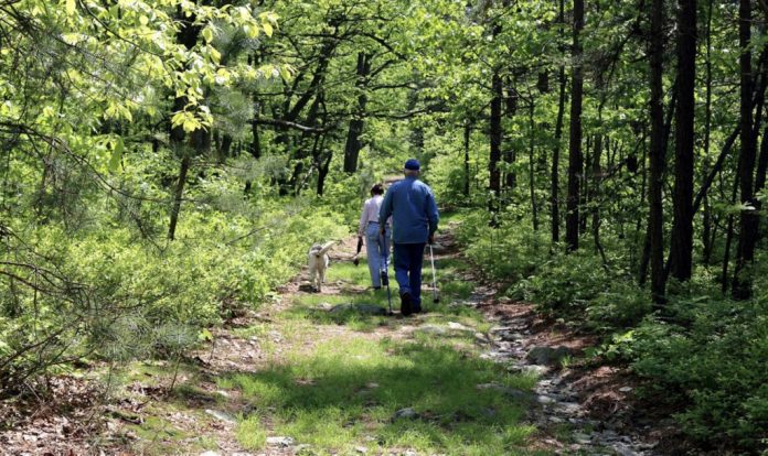 traseu-ecoturistic valea vinului