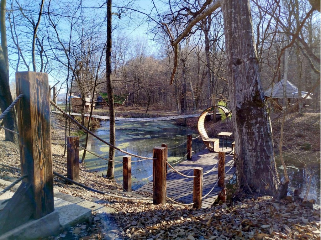 sadova forest refugiu in codri