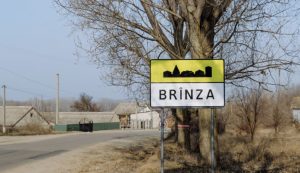 satul european brinza cahul