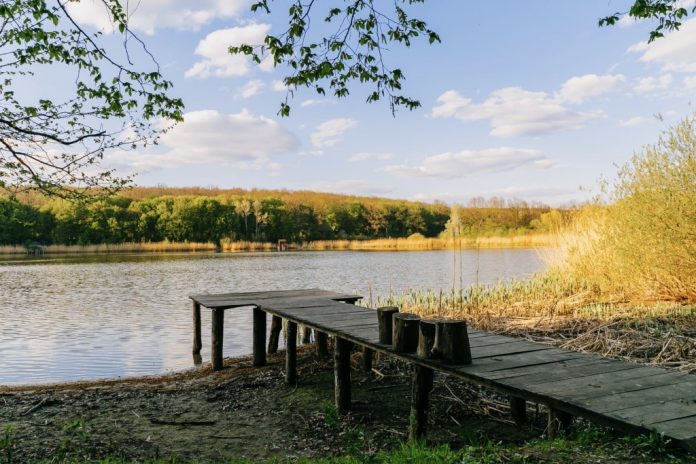traseu-plaiul-fagului farmecul colinelor