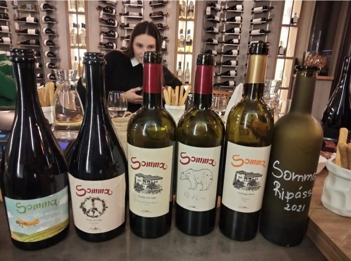 vinuri-somma vinaria somma
