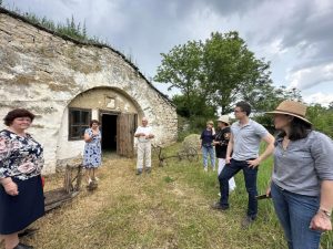 bascute festivalul bascutelor