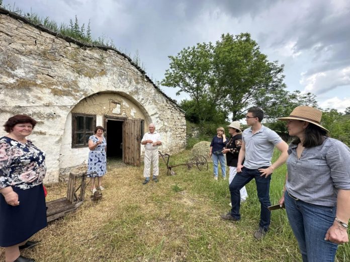 bascute festivalul bascutelor