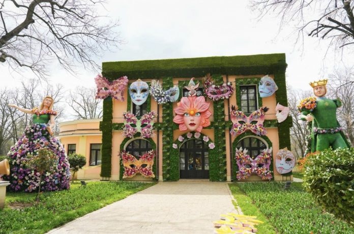 craiova-decor craiova