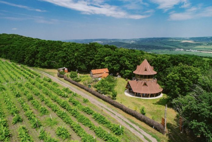 crama-tudor trasee turistice calarasi