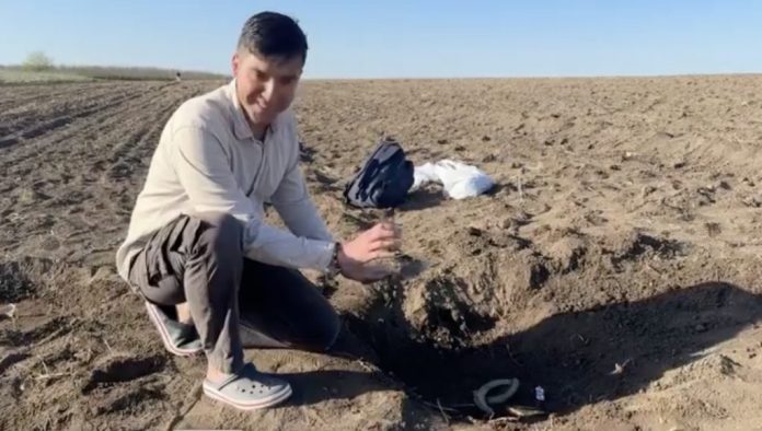 descoperire descoperiri arheologice