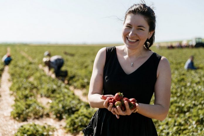 producator-capsuni producatori agricoli