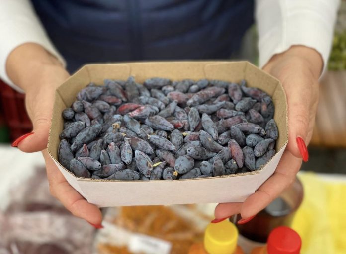 afine-siberiene trei bobite