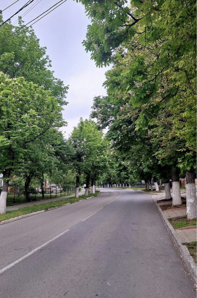 aleea de castani din calarasi