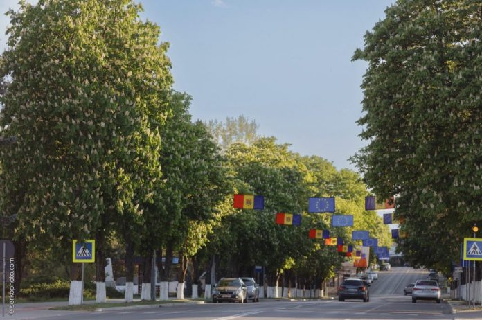 alee-castani aleea de castani