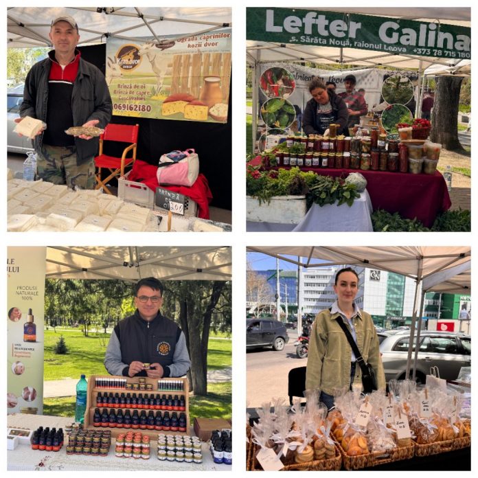 colaj-tirg camara fest