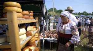 festivalul casului