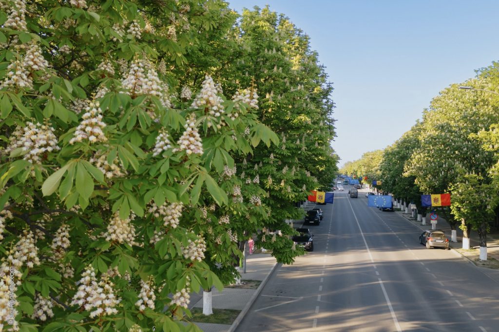 viziteaza ungheni