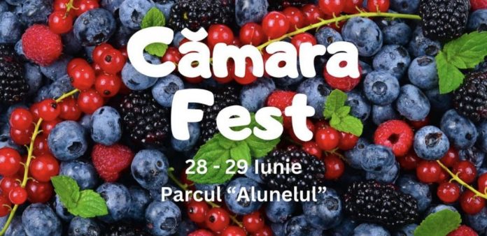 camara-fest camara fest