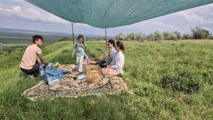 cina-breanova cina la fermă