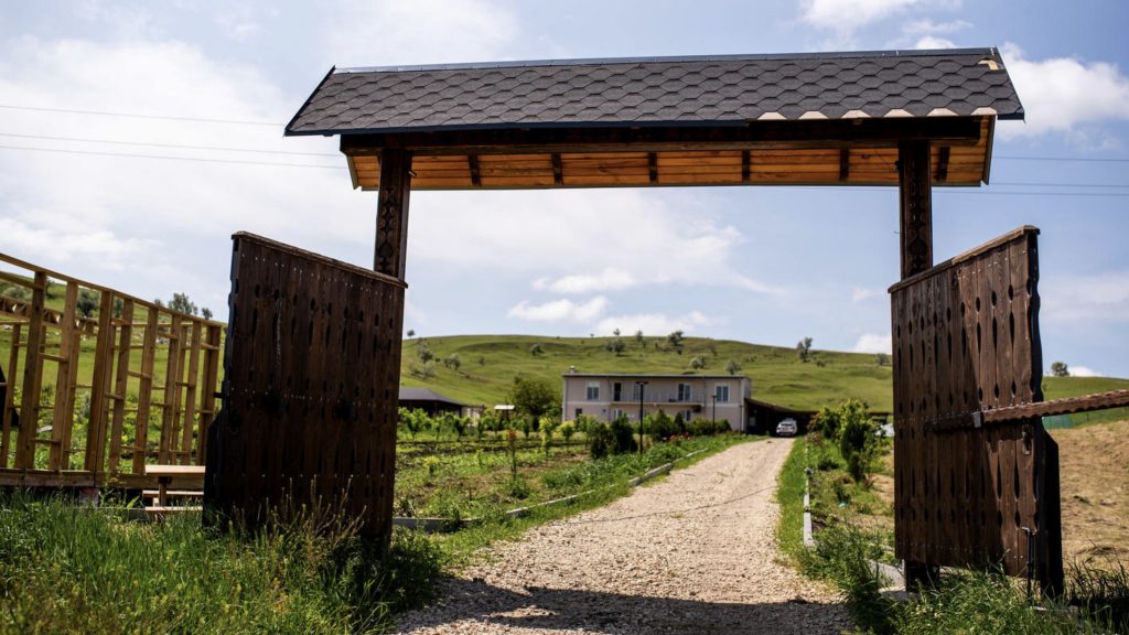 branzeturi ferma vilador